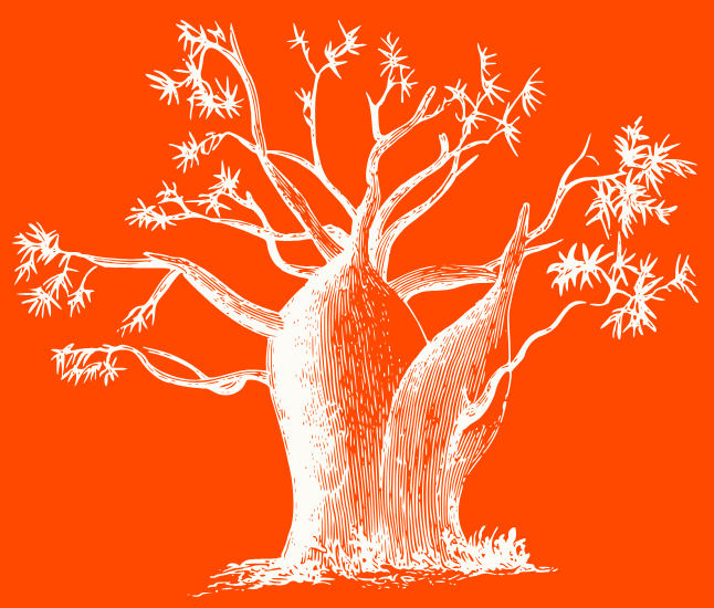 Baobab tree